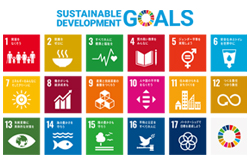 SDGs